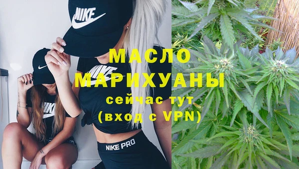 индика Рославль