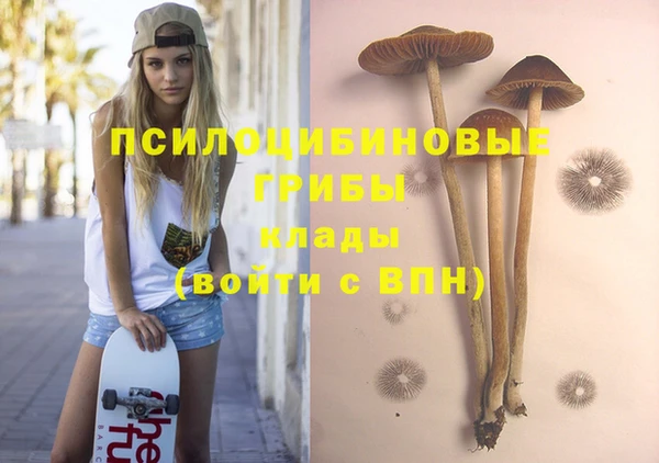 мдпв Валдай